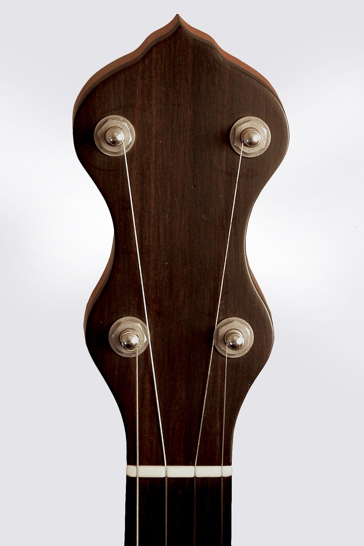 Mike Ramsey Custom 5 String Fretless Banjo
