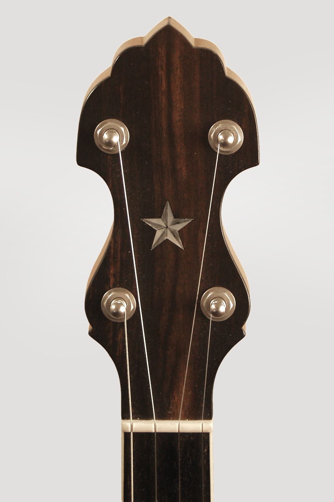 Vega Whyte Laydie Conversion Short Neck 5 String Banjo (1922)