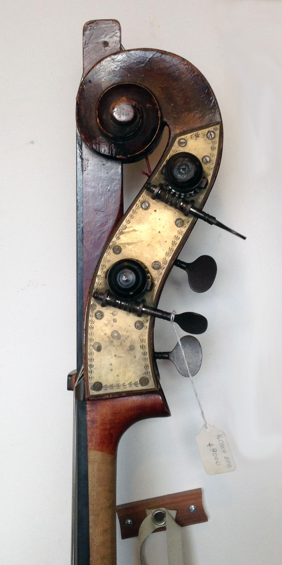 unlabelled Upright Bass (1900)