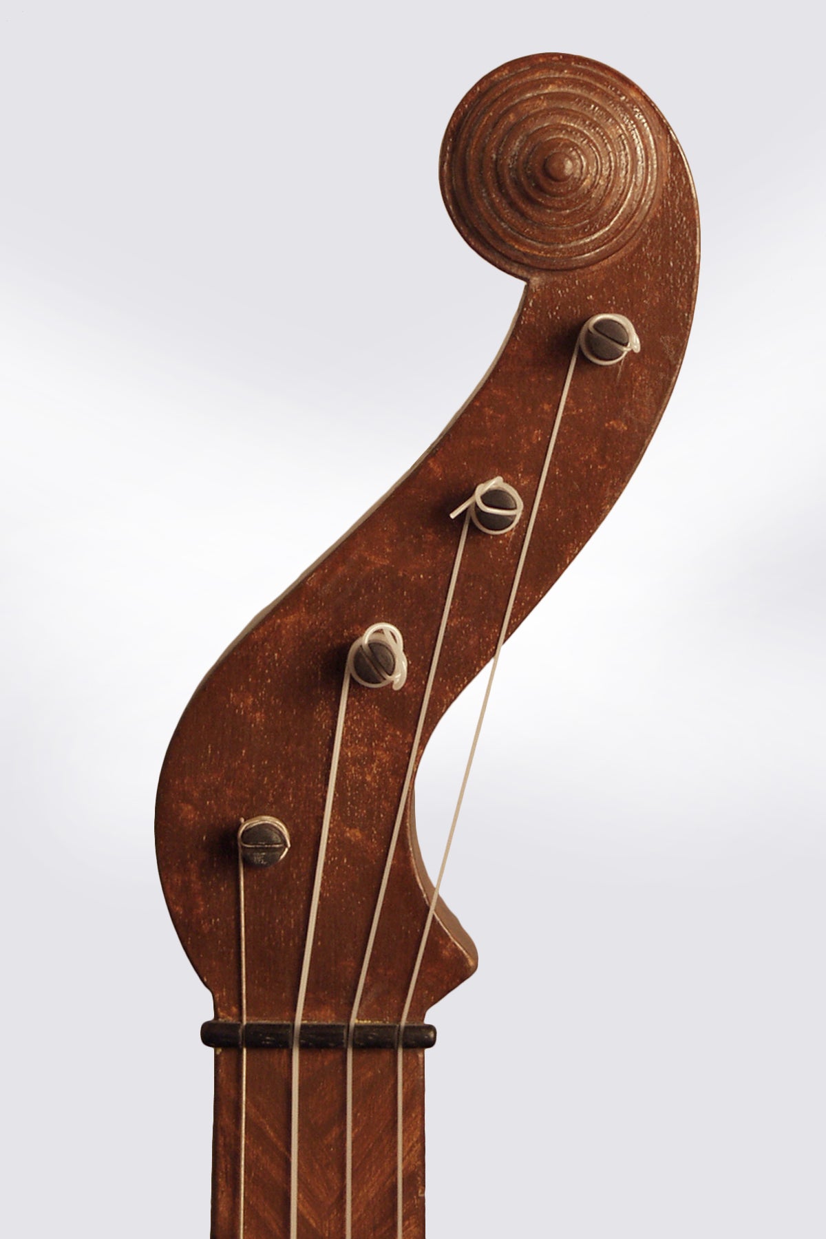 Bell Boucher style 5 String Fretless Banjo (2010)