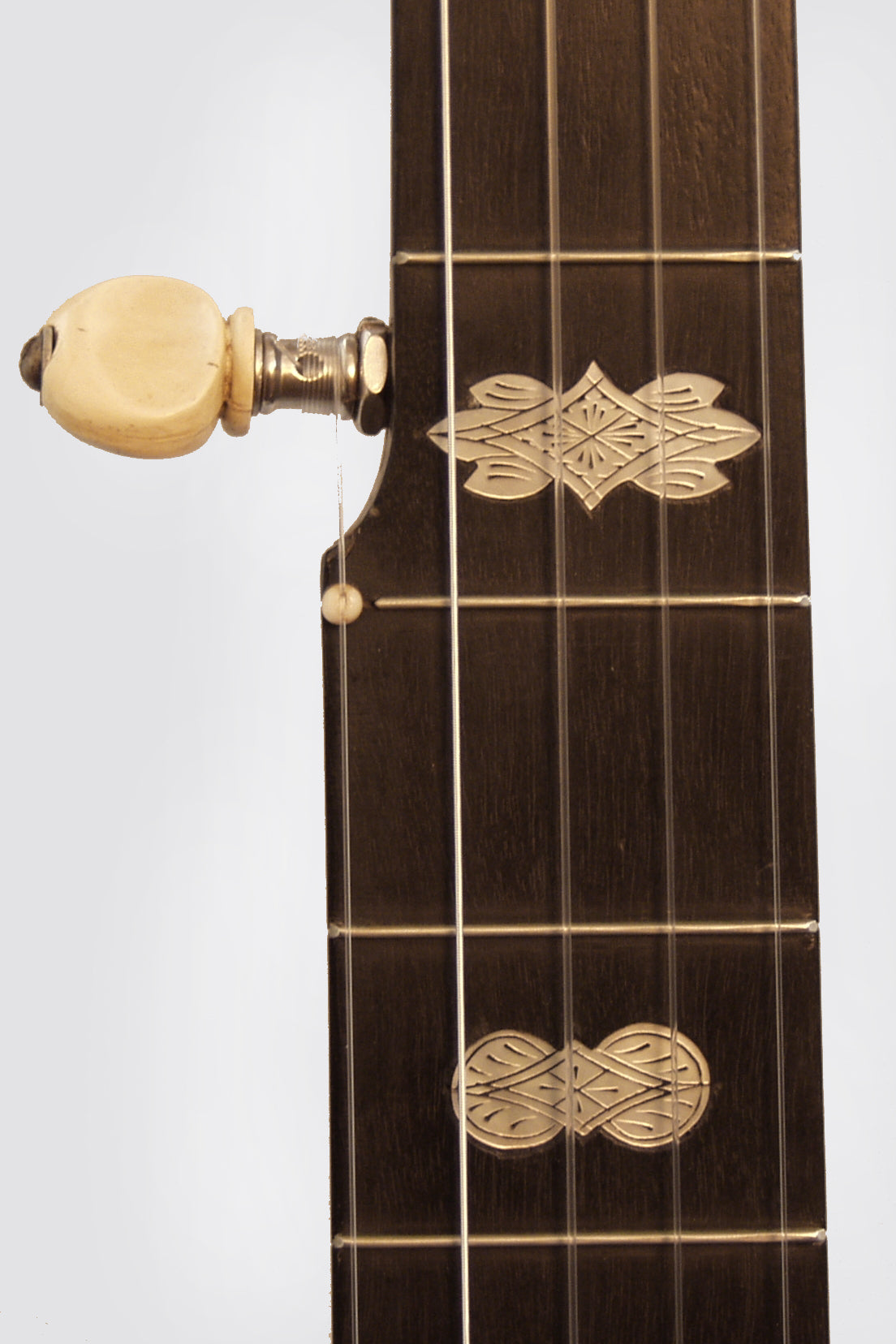 W. A. Cole Eclipse #3000 Banjo (1896)