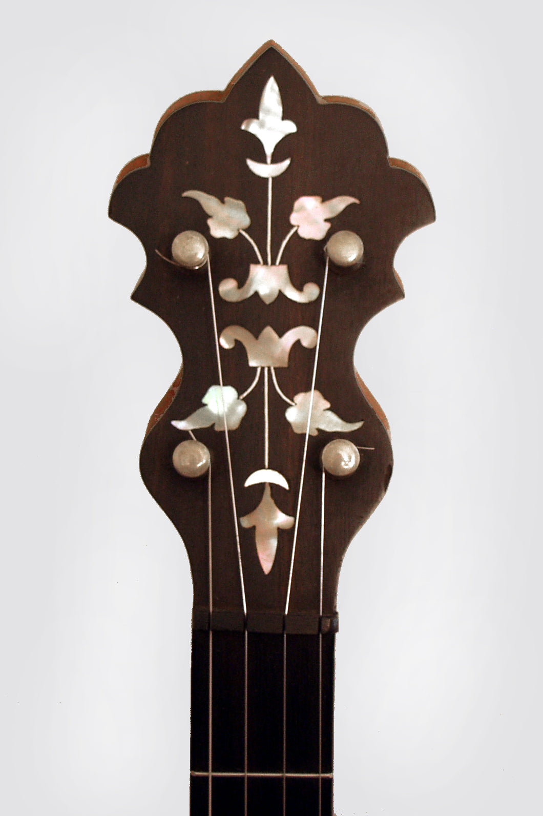 S. S. Stewart American Princess 5 String Banjo (1899)