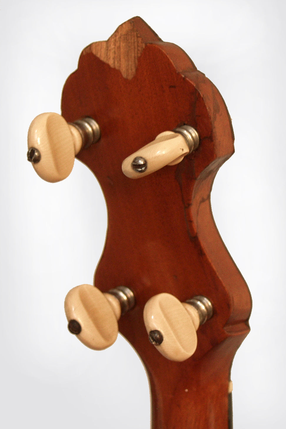 Vega Style K Tango/Melody Banjo (1926)