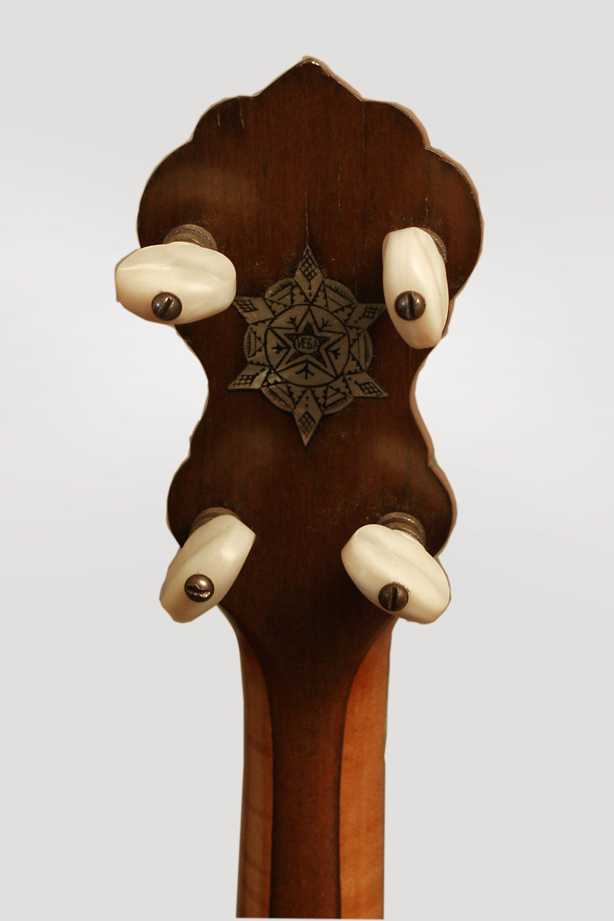 Vega Tu-Ba-Phone Tenor Banjo (1925)