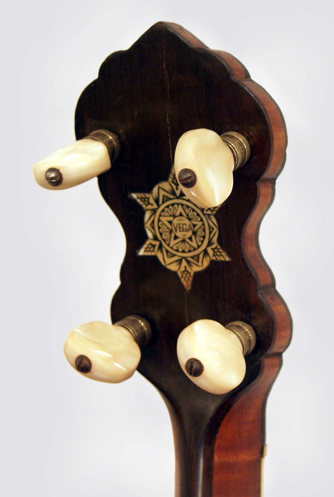 Vega Style X No. 9 Tenor Banjo (1923)
