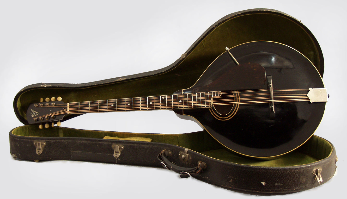 Gibson K-1 Mandocello (1924)