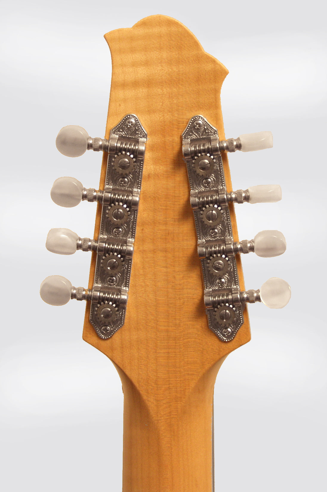 Polestar Cosmotone Mandocello