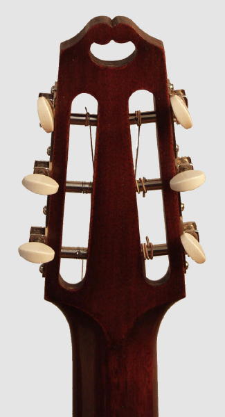 Fraulini Silvio Flat Top Acoustic Guitar (2010)