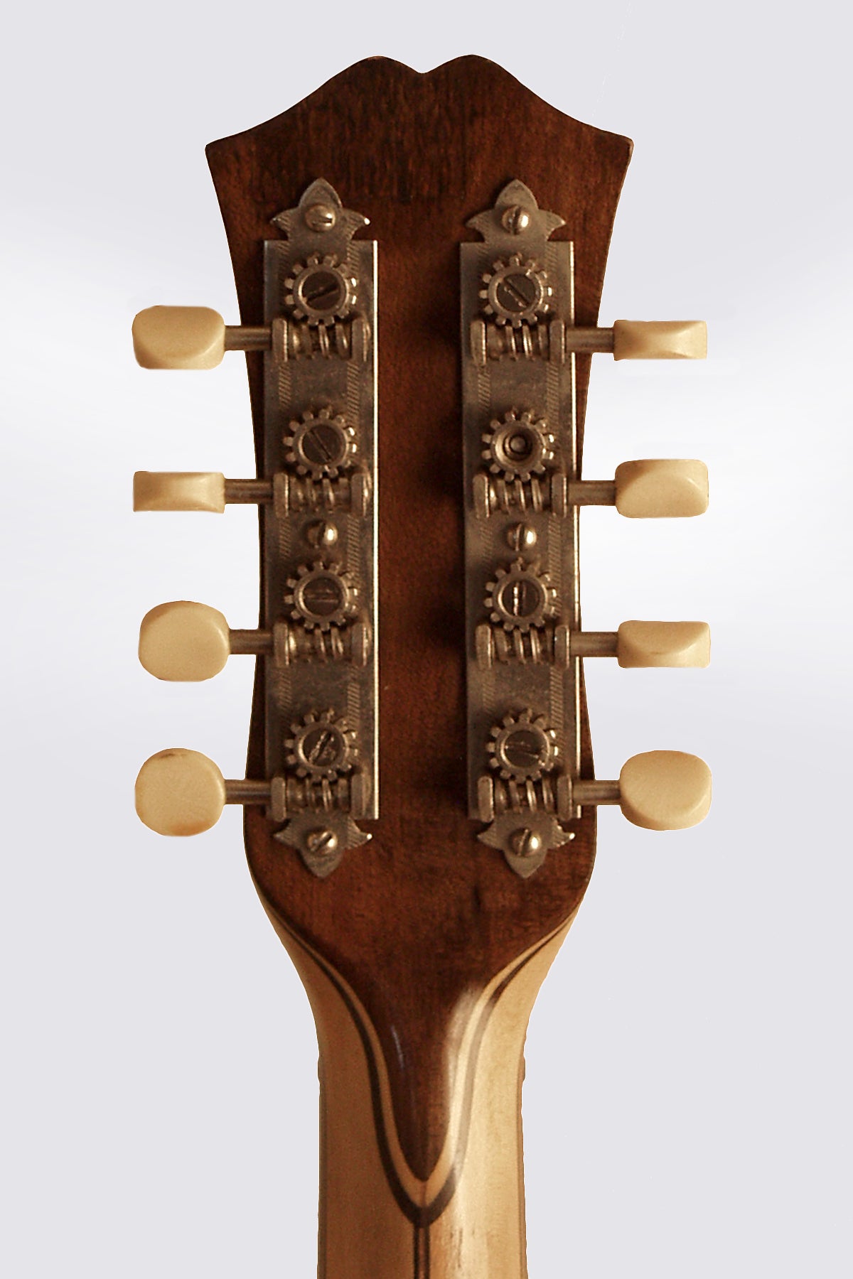 Bacon Mandolin Banjo (1922)