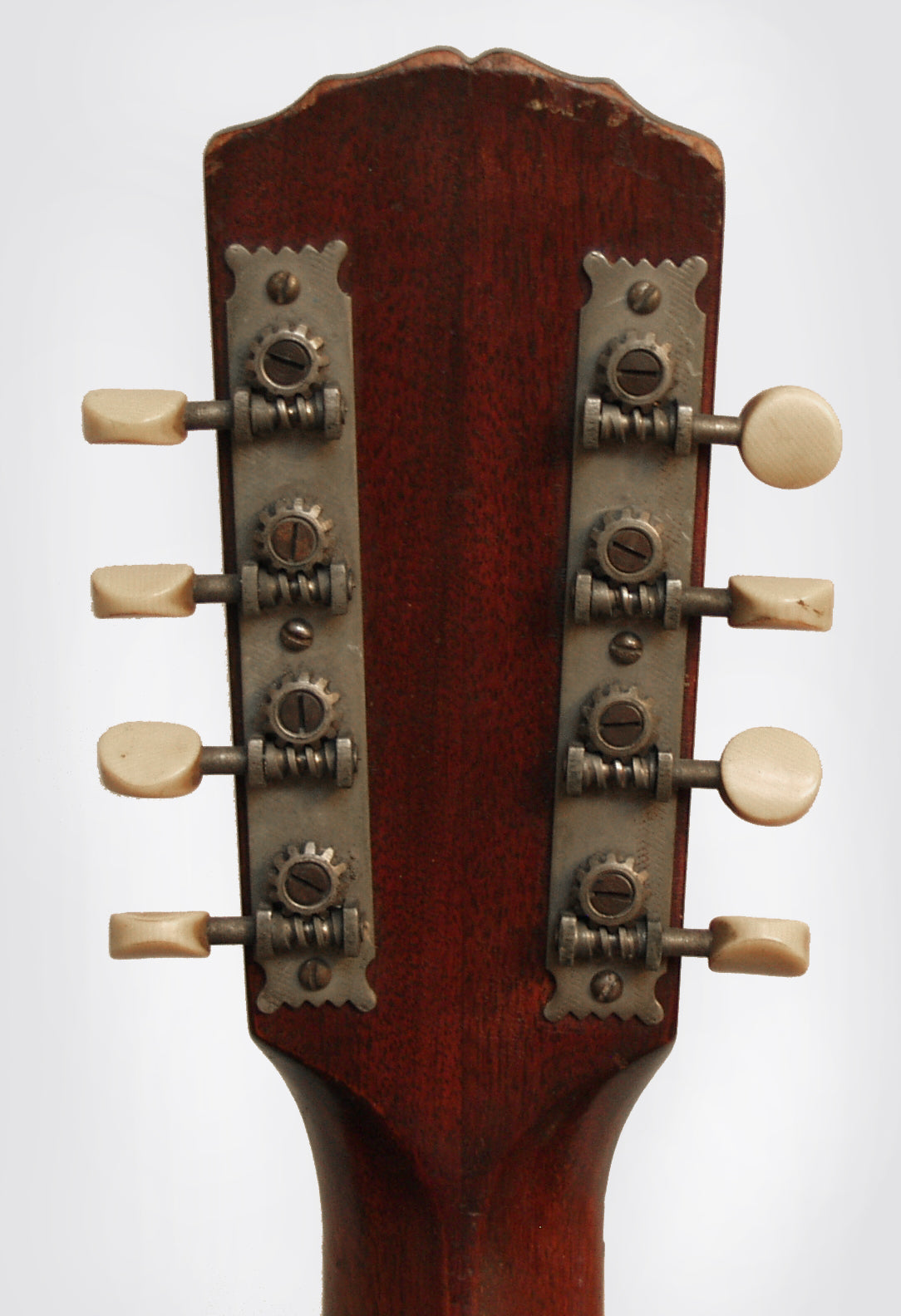 Gibson K-1 Mandocello (1914)