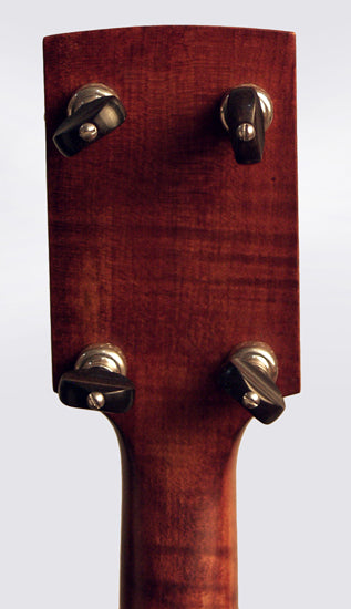 unknown 5 String Fretless Banjo