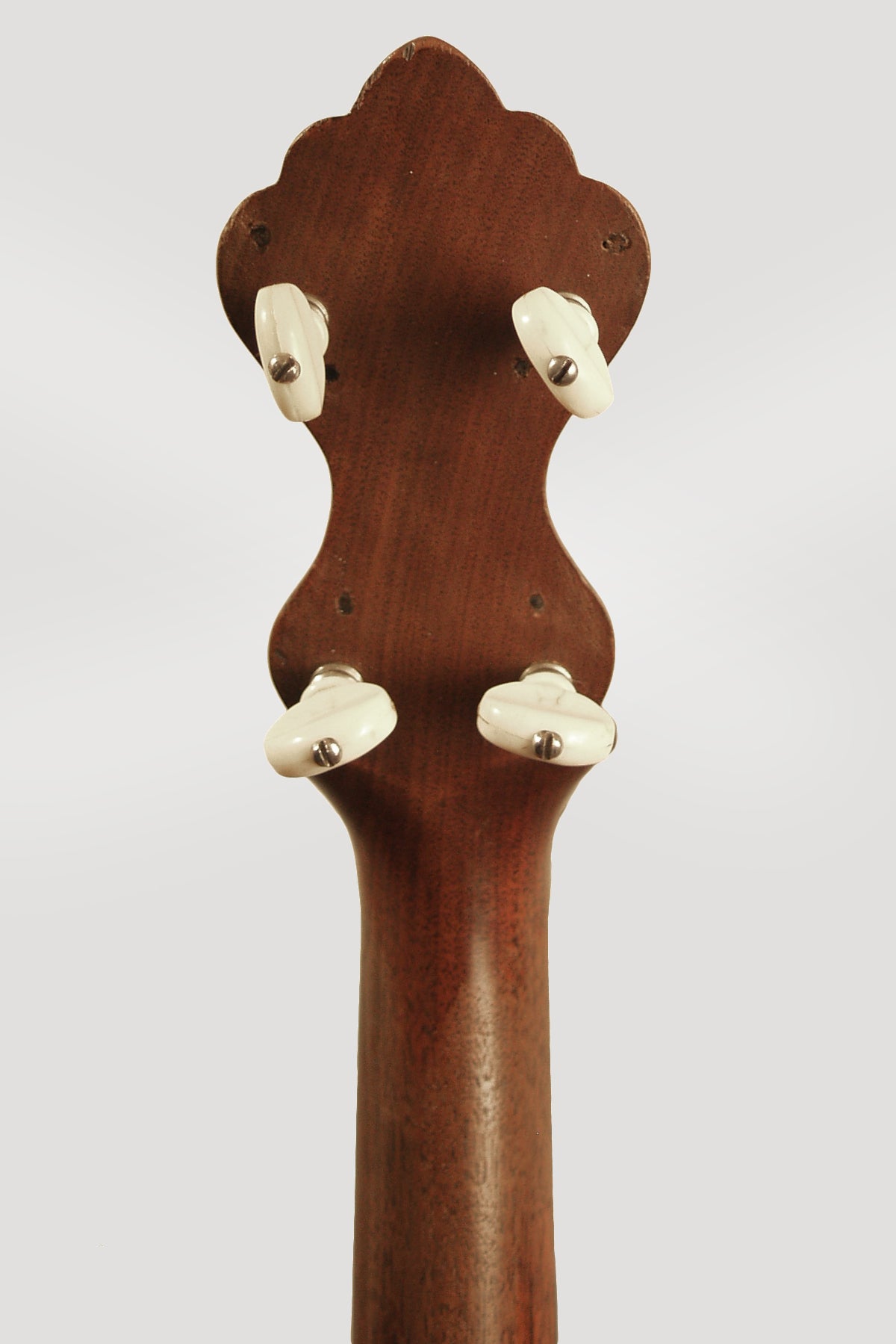 Fairbanks & Cole 5 String Banjo (1881)
