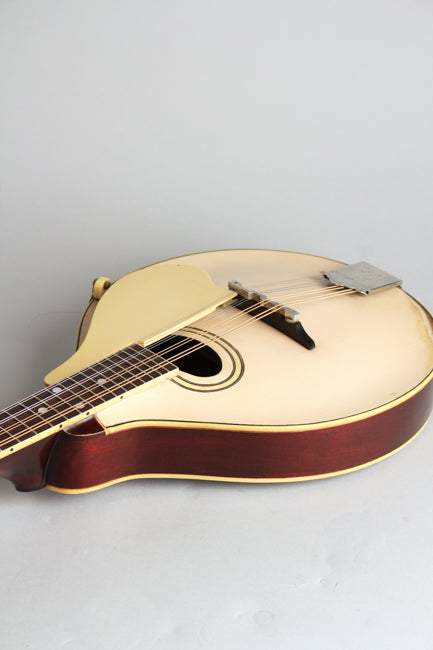 Gibson Style A-3 Carved Top Mandolin (1920)
