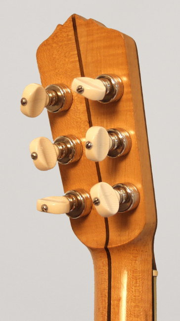 Fairbanks/Vega Tubaphone Guitar Banjo (1921)
