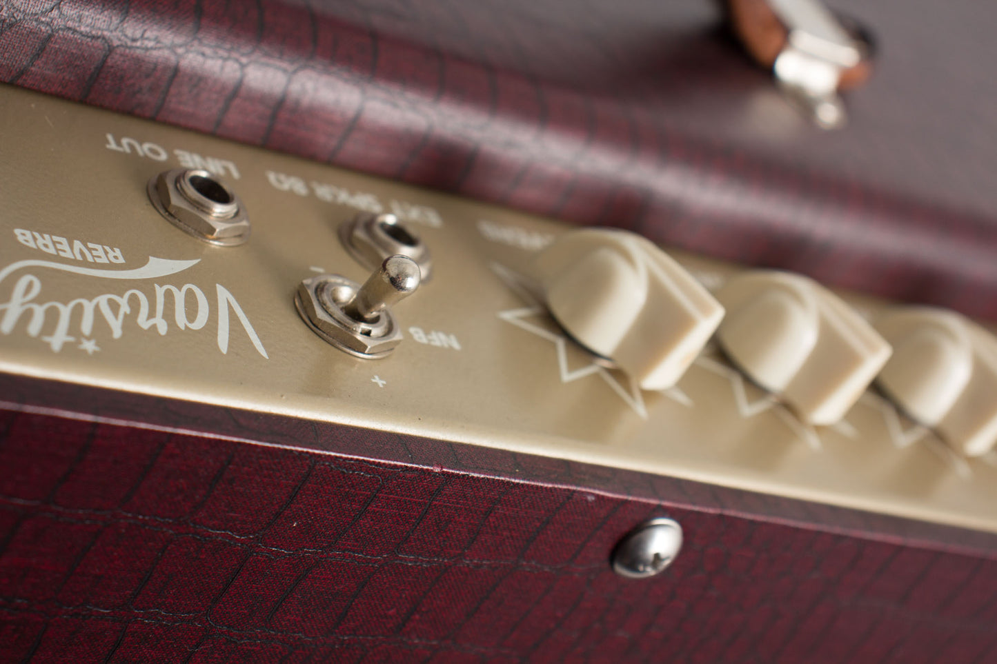 Magnatone Varsity Reverb Tube Amplifier (2013)