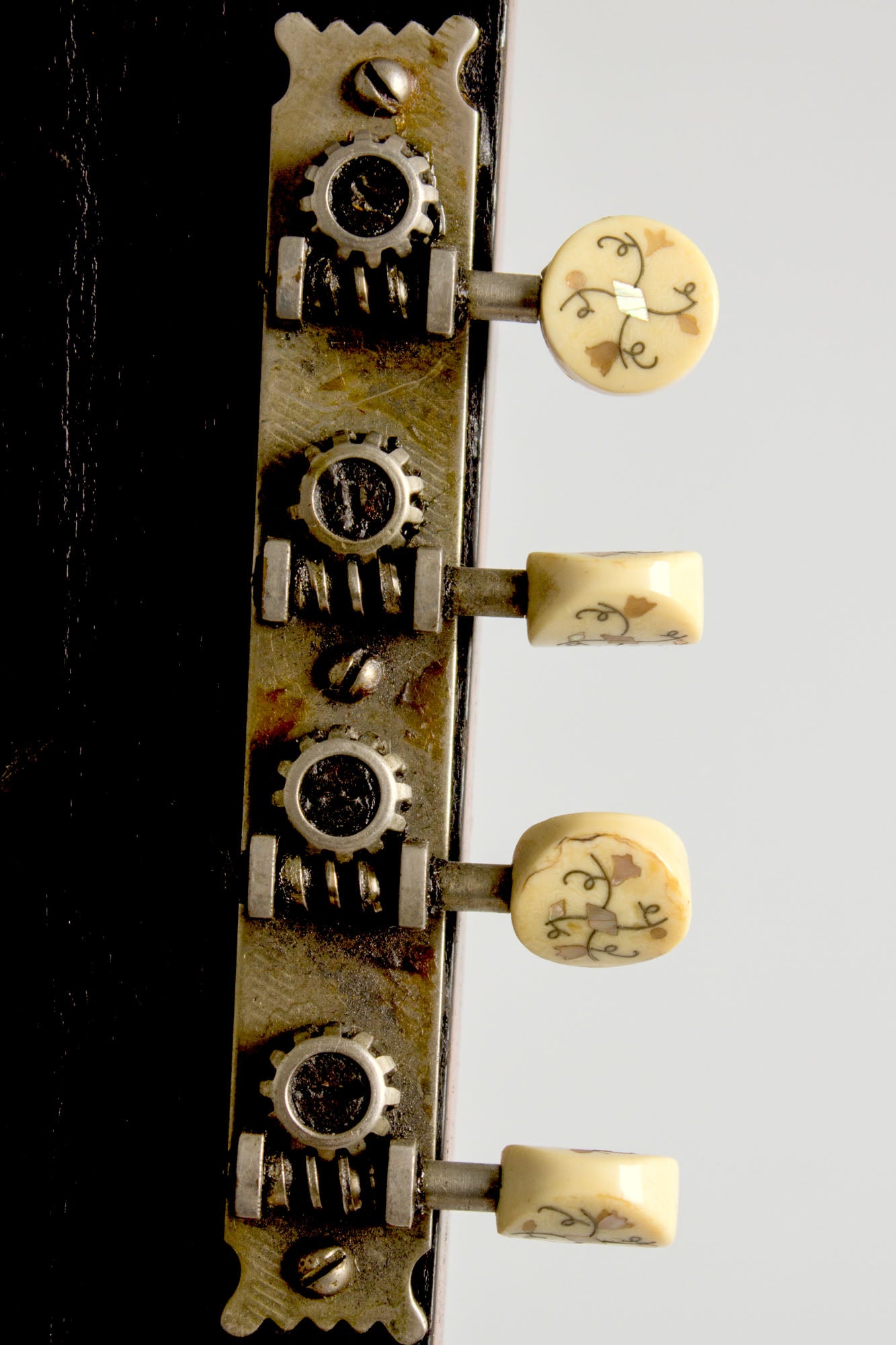 Gibson K-2 Carved Top Mandocello (1912)
