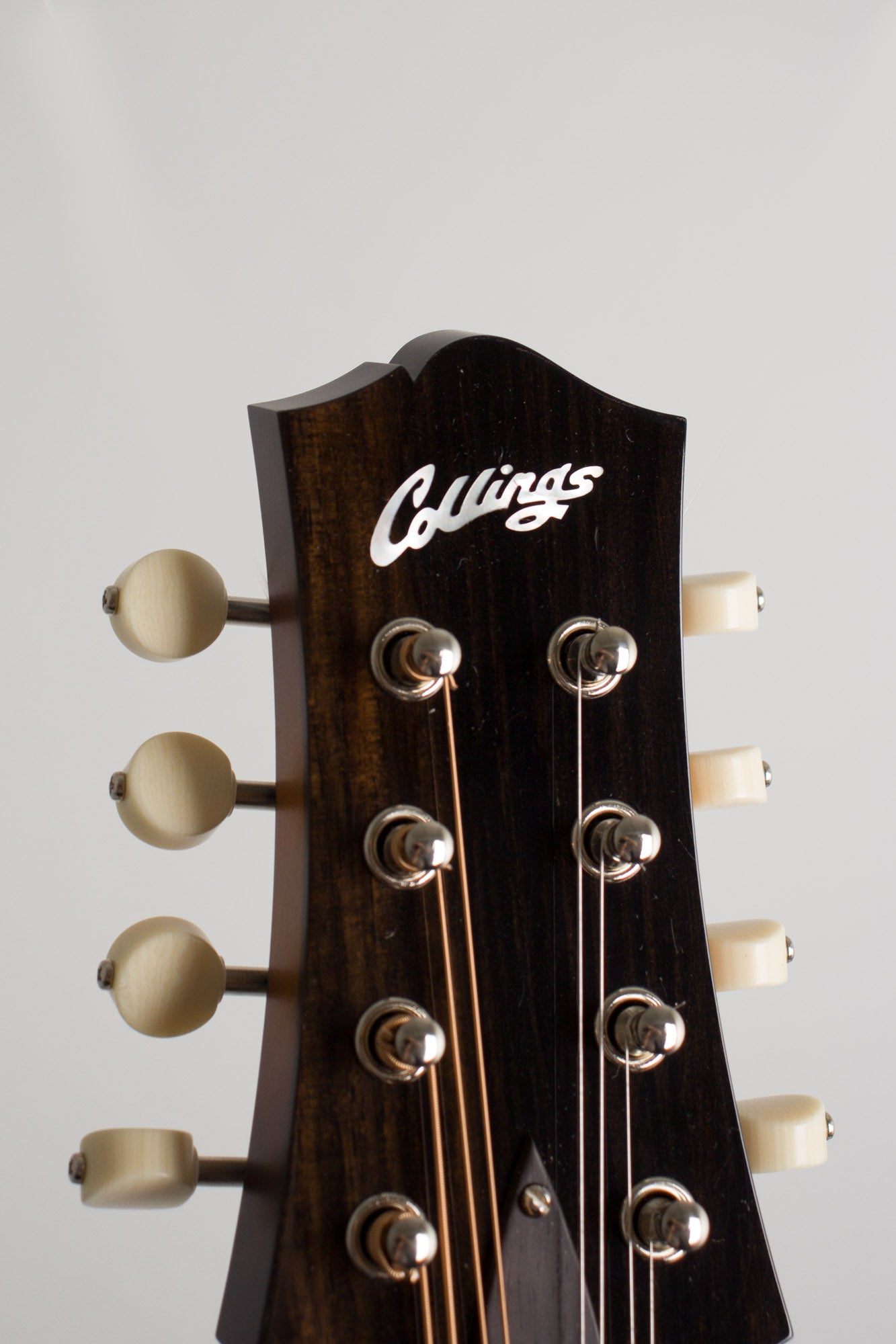 Collings MT Carved Top Mandolin (2018)