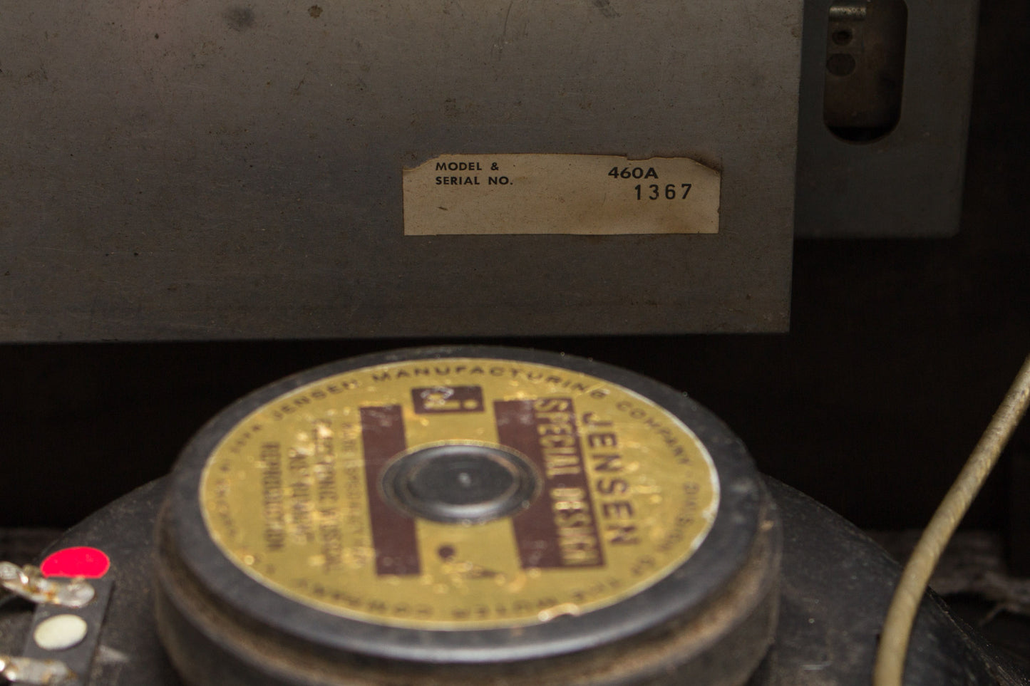 Magnatone Da Vinci D-60 Custom previously owned by Steely Dan's Walter Becker Tube Amplifier (1965)