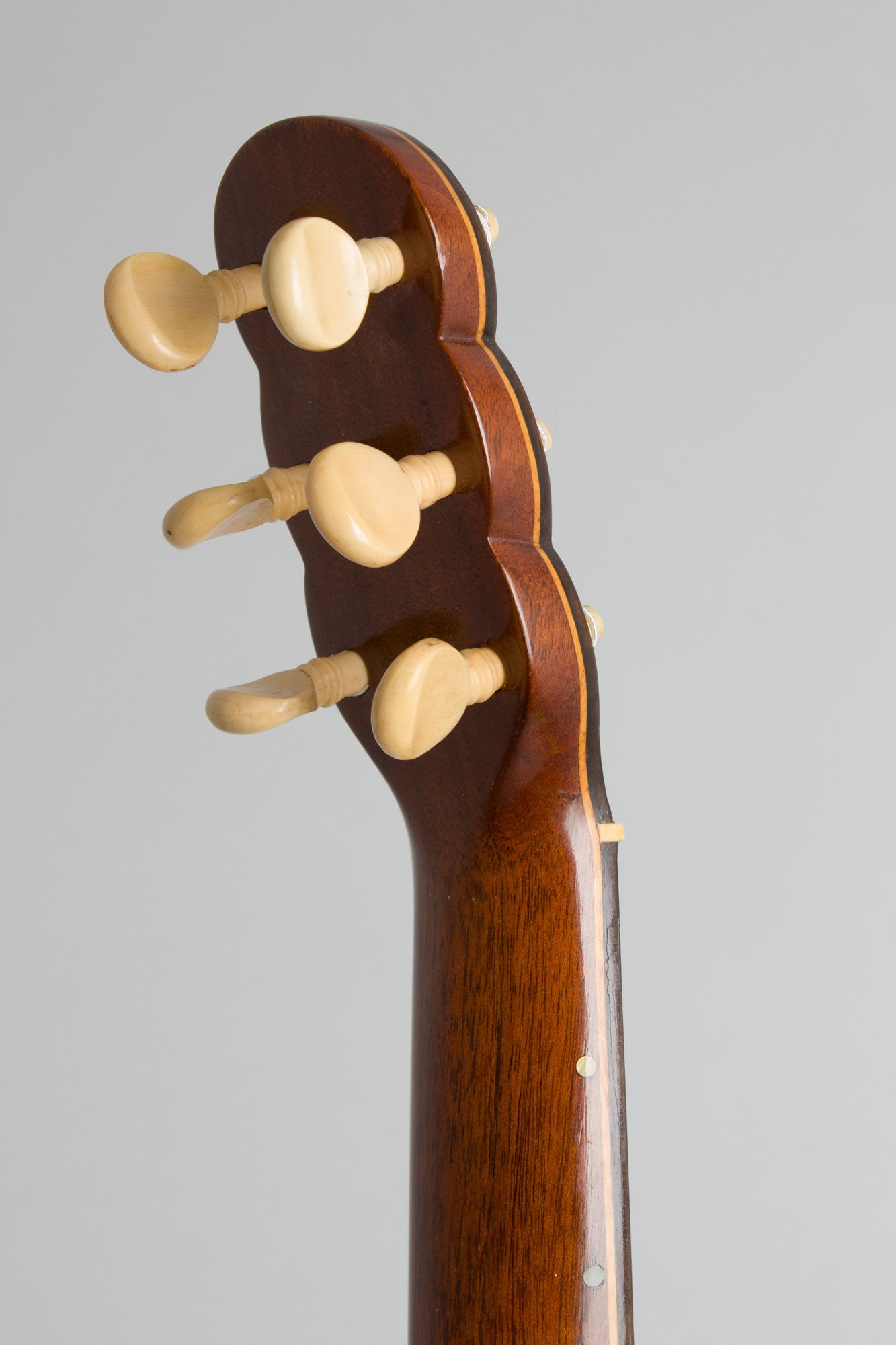 unlabelled 7 String Fretless Banjo (1890)