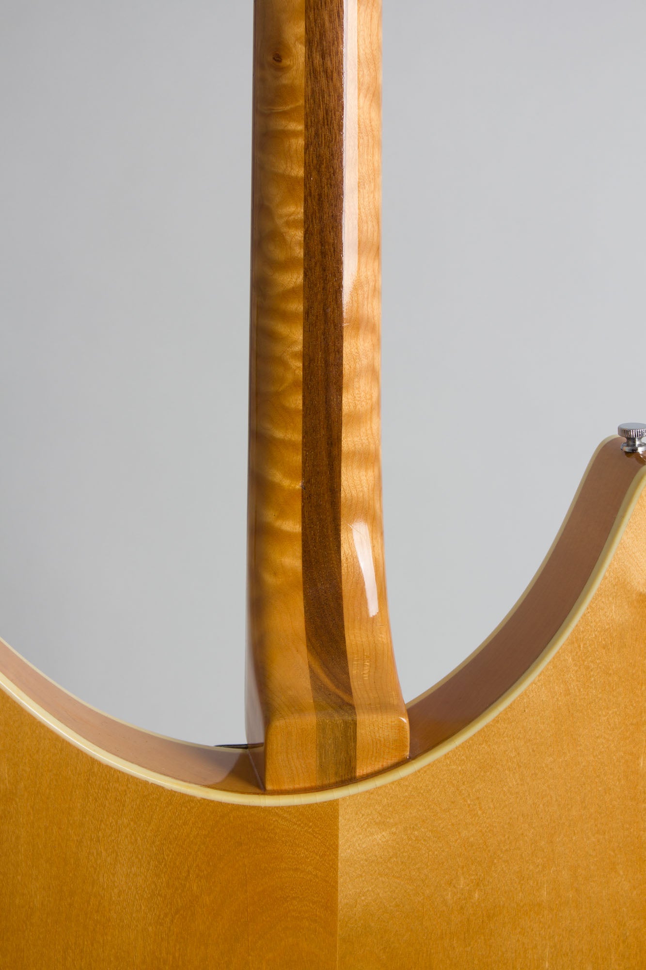 Rickenbacker Model 375 Capri Owned and Used by Jeff Tweedy of Wilco Semi-Hollow Body Electric Guitar (1960)