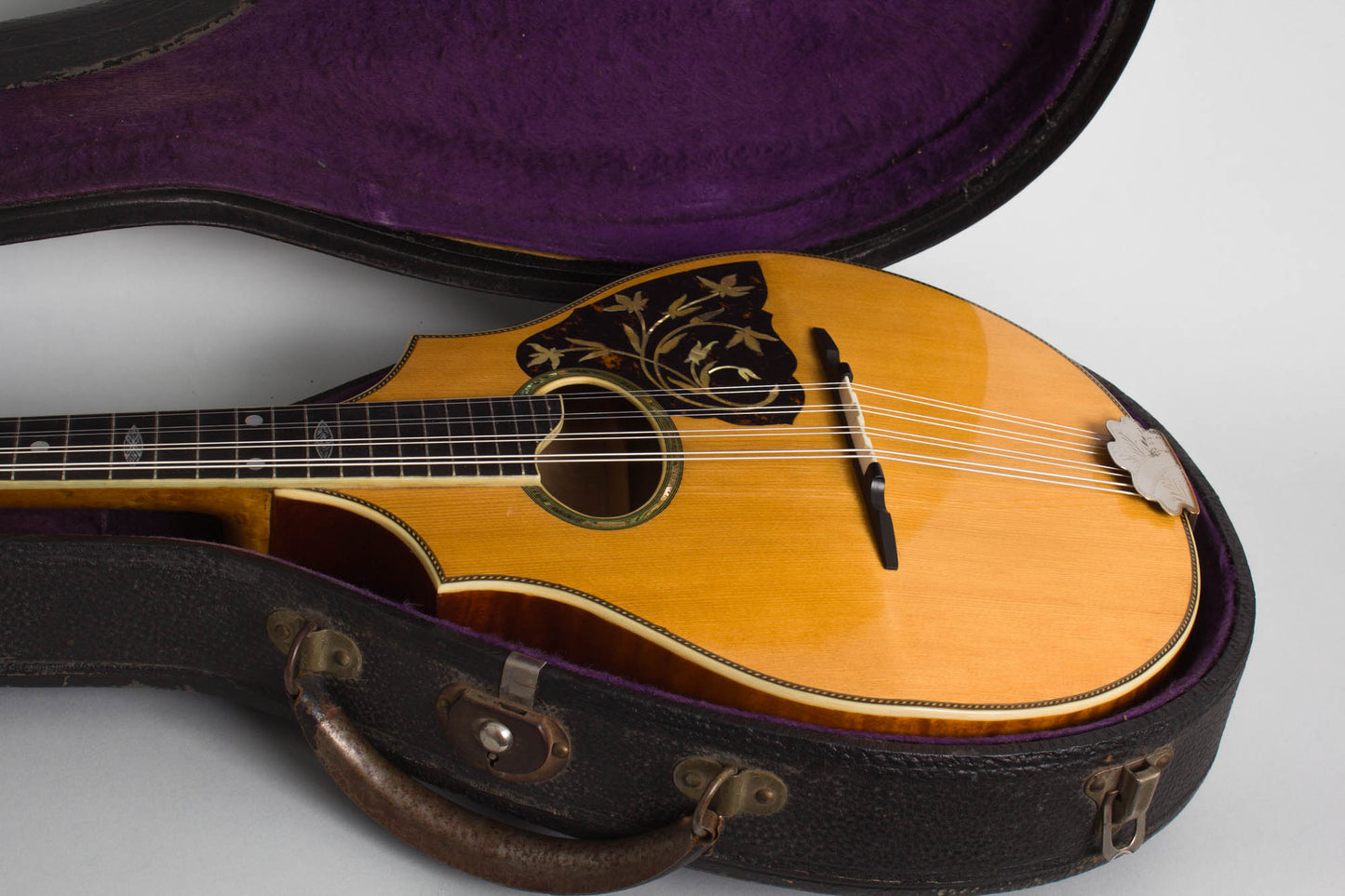 Vega Cylinder Back Model 205 Mandolin (1917)