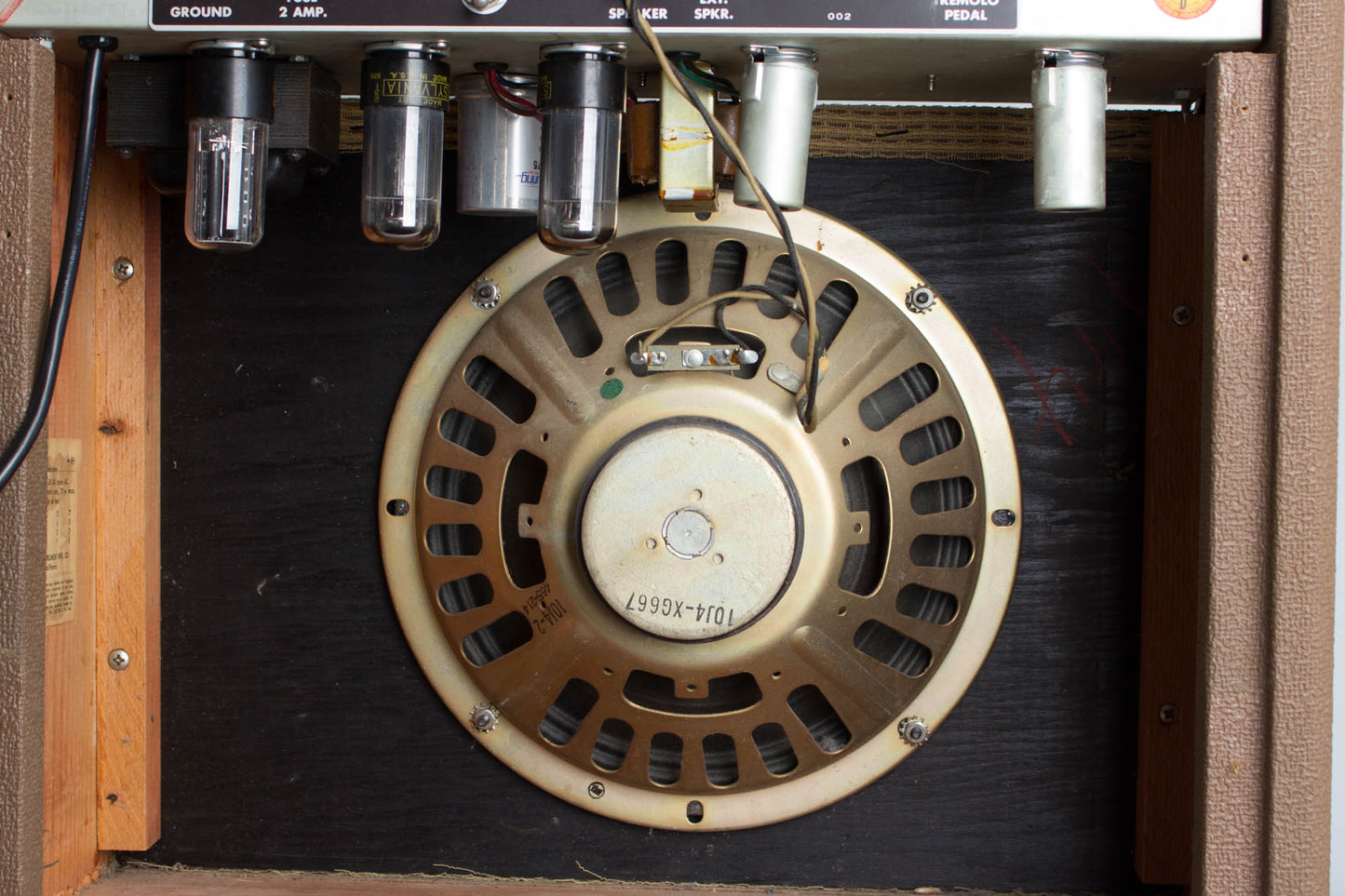 Fender Princeton 6G2 Tube Amplifier (1962)