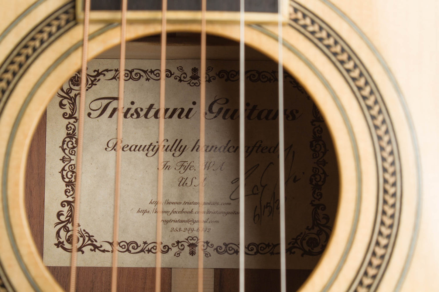Tristani Style 5-18 Terz Parlor Guitar (2020)
