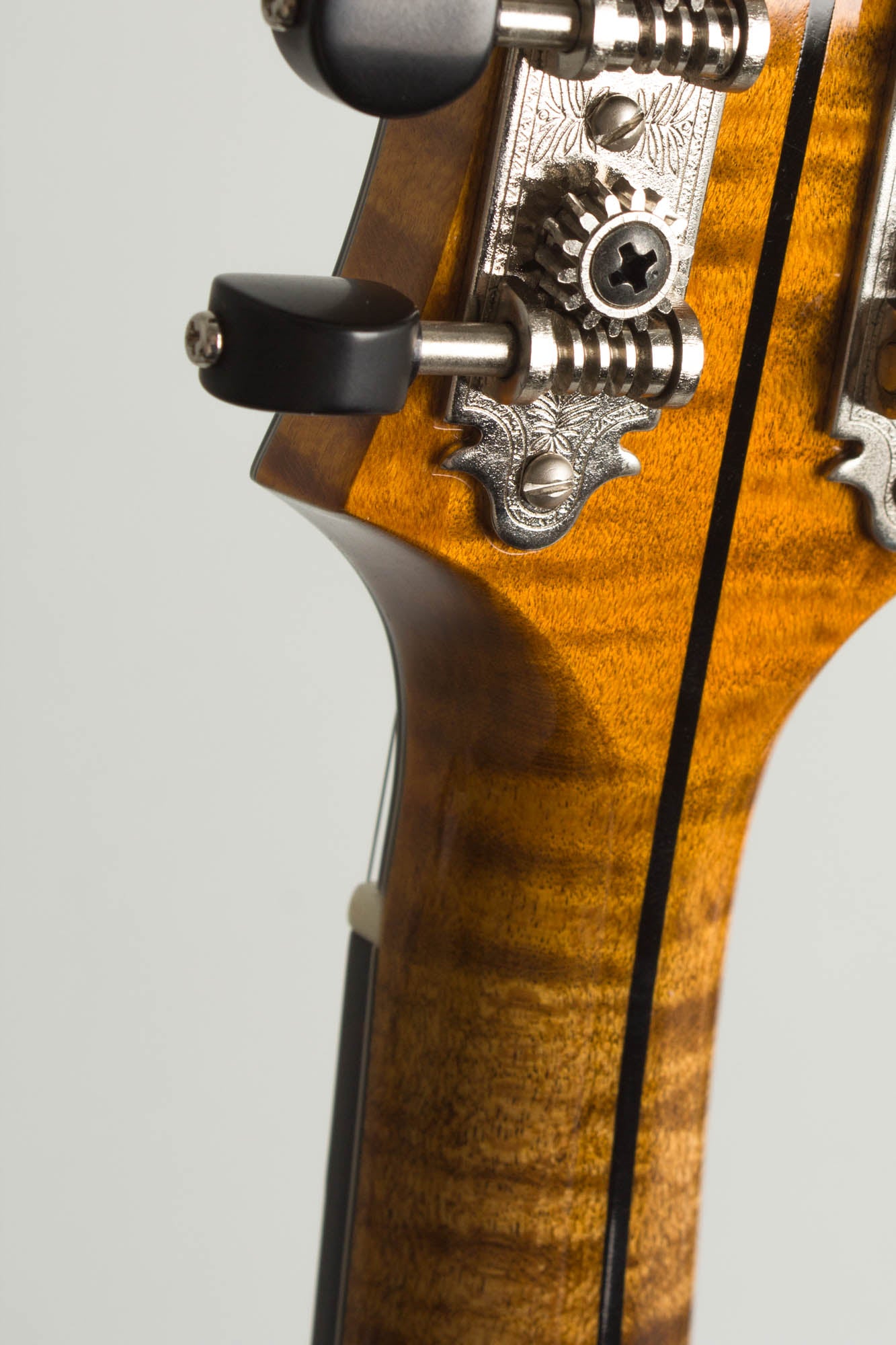 Northfield NFA-F5IE Carved Top Mandolin (2025)