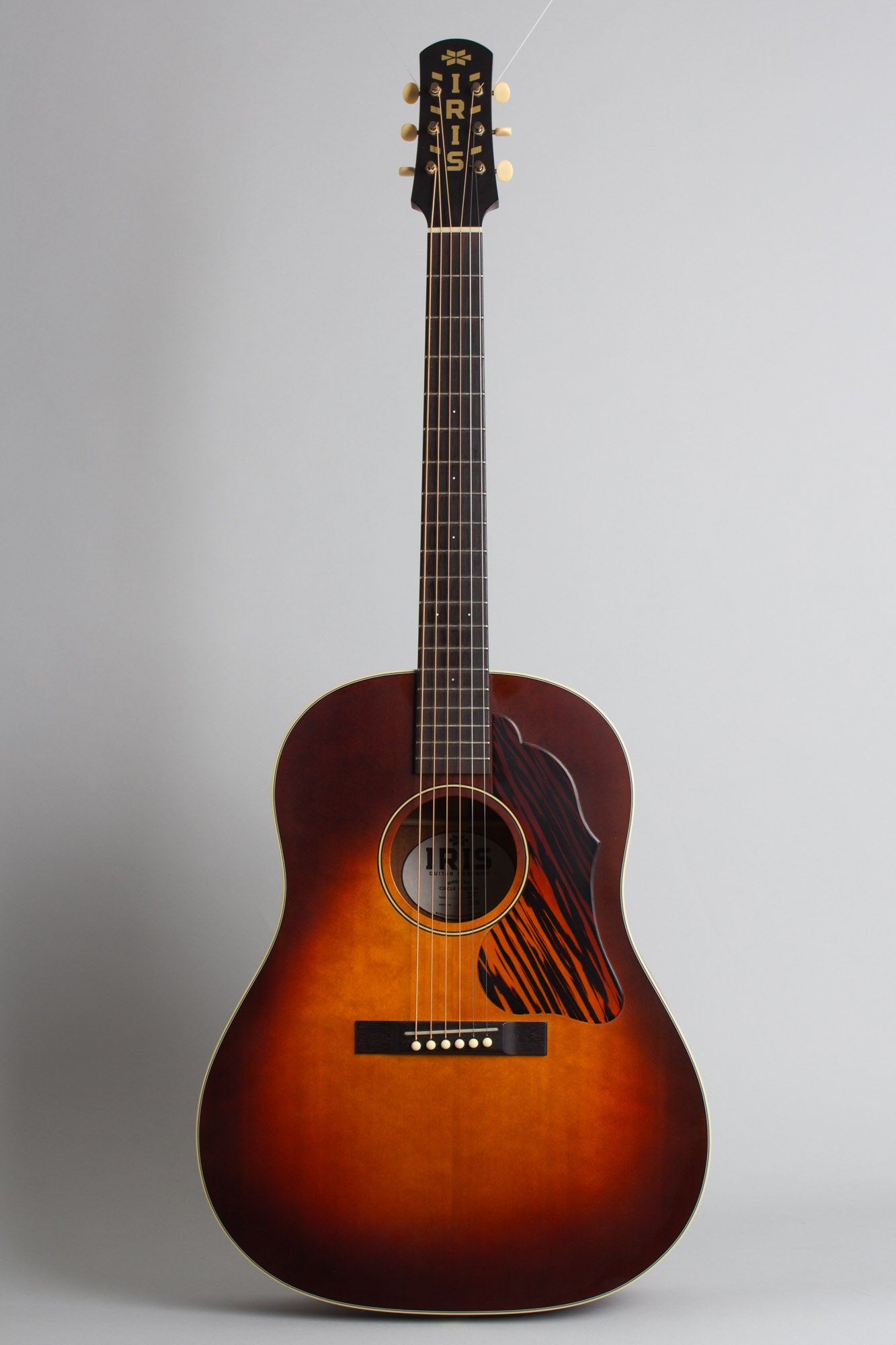 Iris DF Flat Top Acoustic Guitar