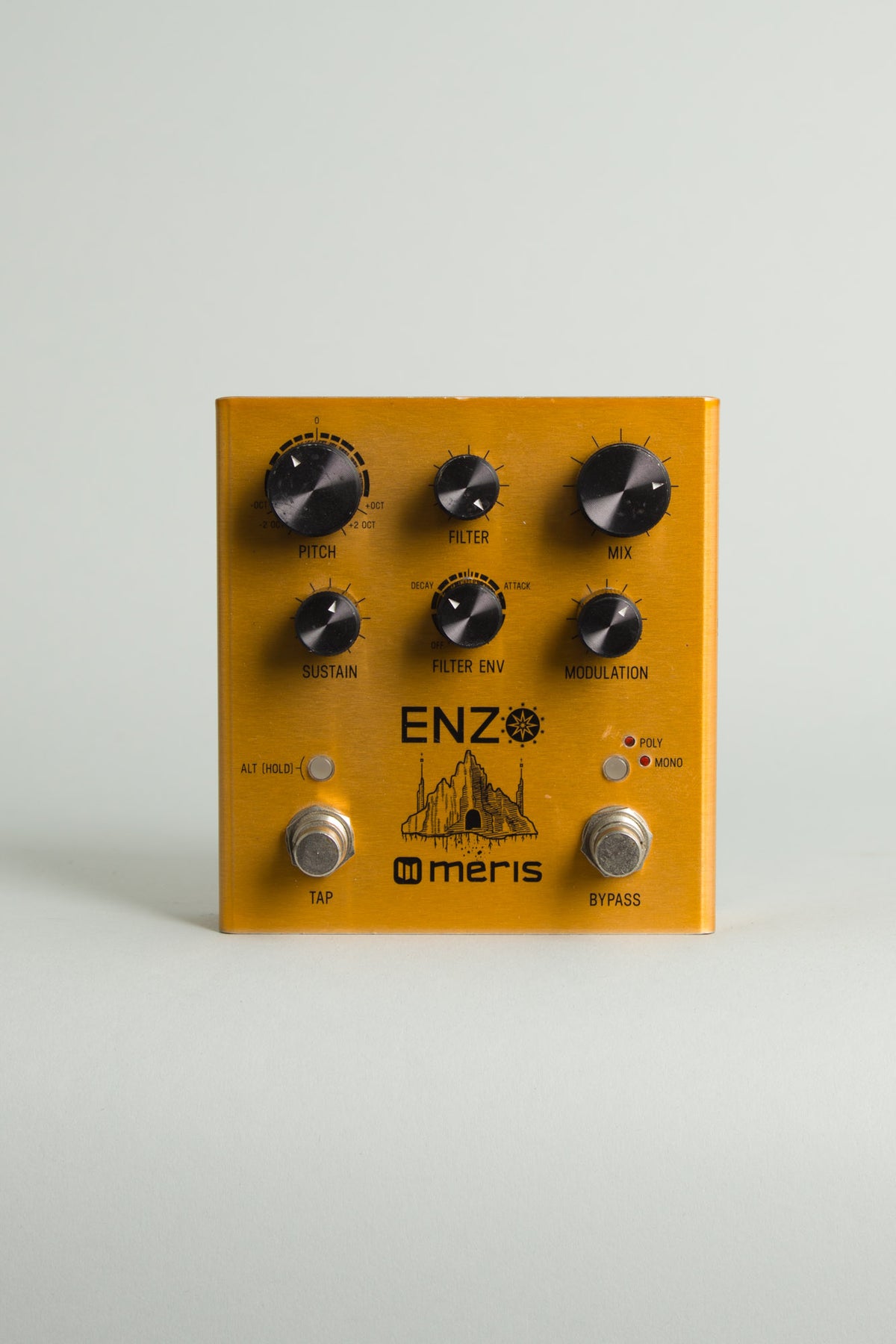 Meris Enzo Synth Effect (2020s)