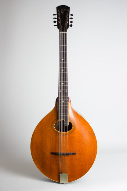 Gibson K-1 Carved Top Mandocello (1912)