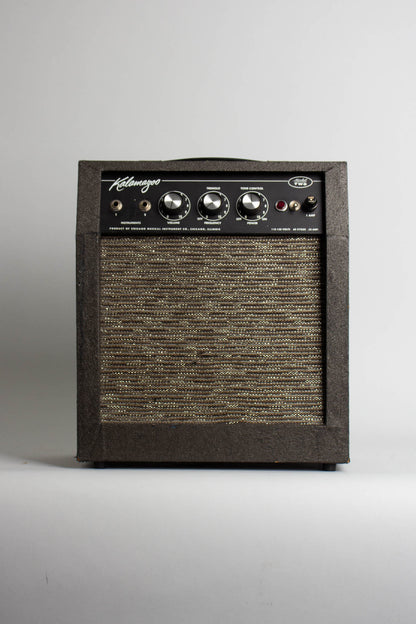 Kalamazoo Model Two Tube Amplifier (1966)