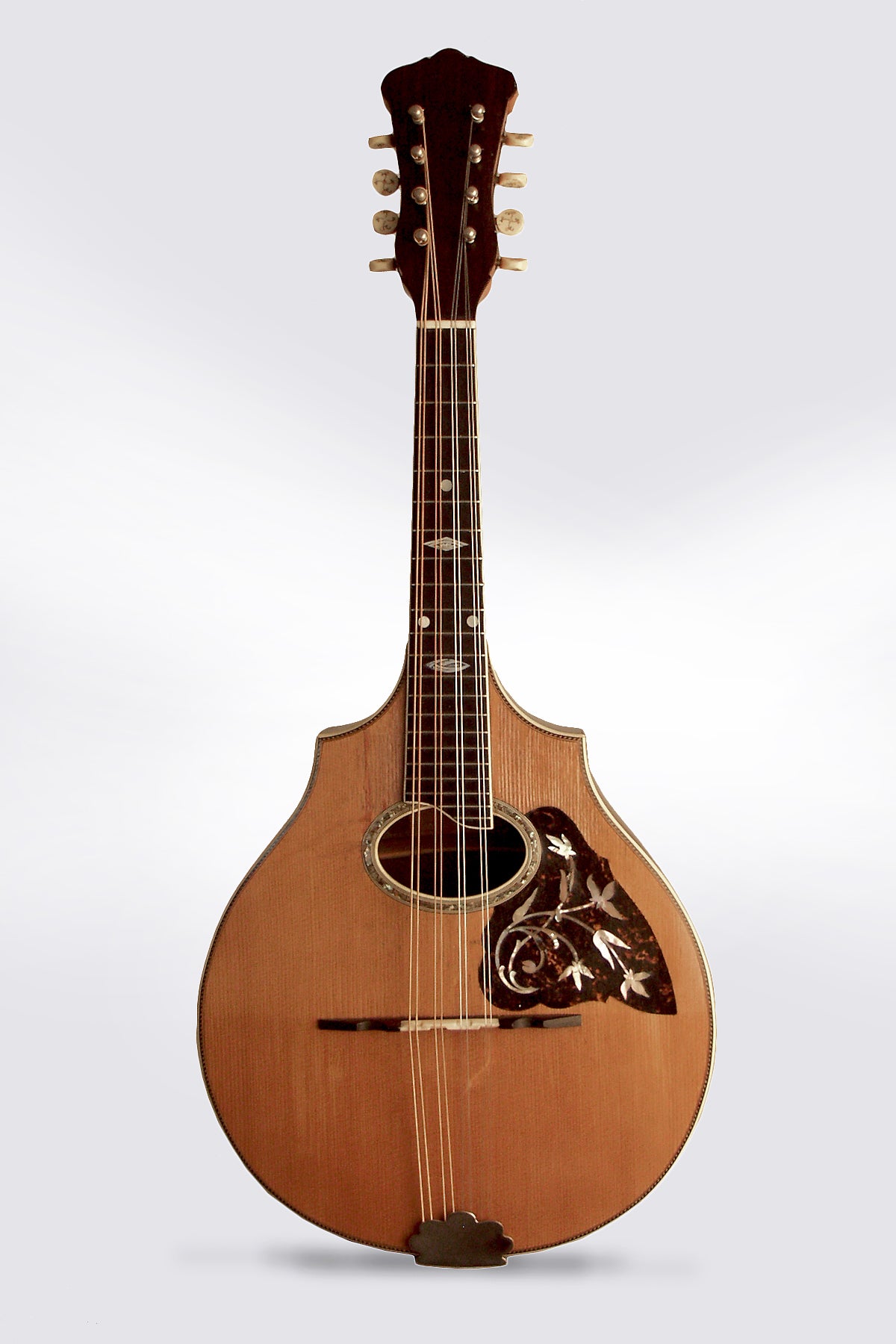 Vega Cylinder Back Style 305 Arch Top Mandolin (1916)