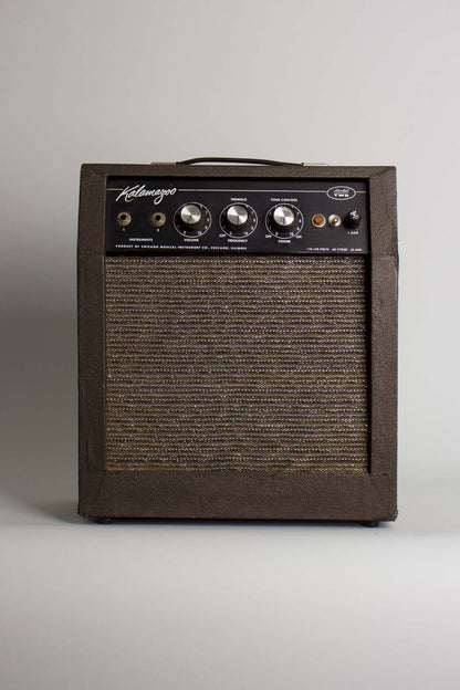 Kalamazoo Model Two Tube Amplifier (1966)
