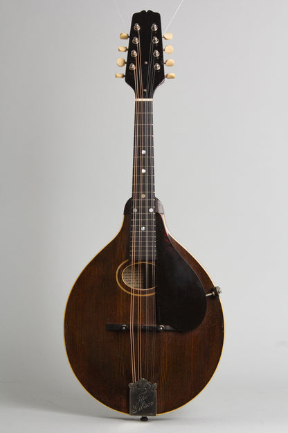 Gibson Style A Snakehead Carved Top Mandolin (1923)