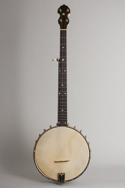 Bart Reiter Professional 5 String Banjo