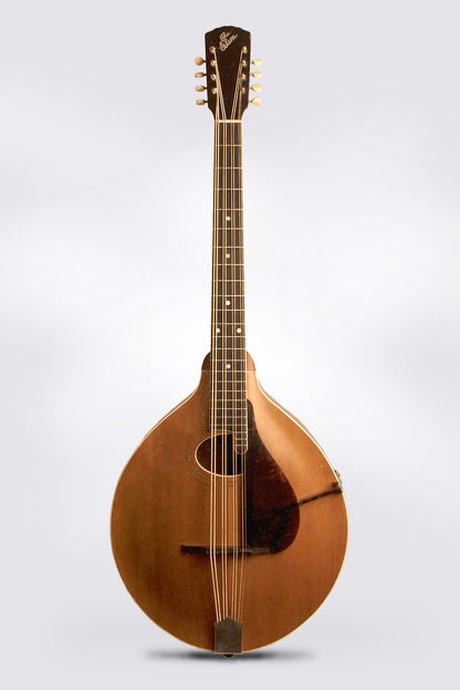 Gibson K-1 Carved Top Mandocello (1912)