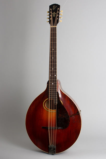 Gibson K-2 Carved Top Mandocello (1912)