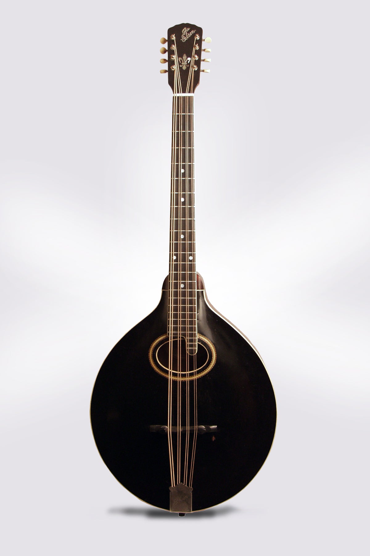 Gibson K-2 Carved Top Mandocello (1913)