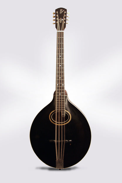 Gibson K-2 Carved Top Mandocello (1913)