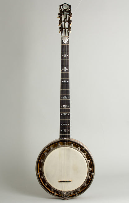 Cammeyer 5 String Zither Banjo (1909)