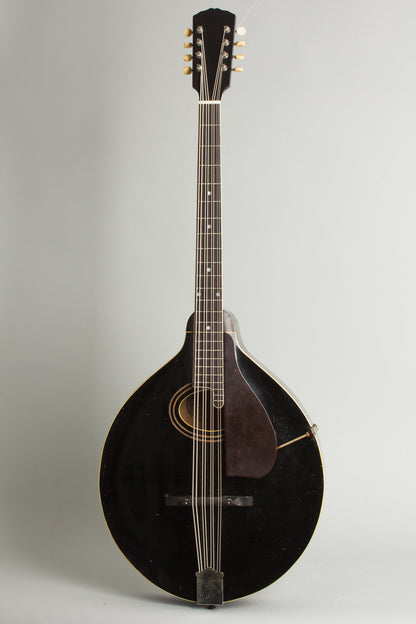 Gibson K-1 Carved Top Mandocello (1924)