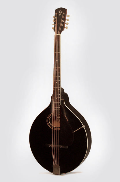 Gibson K-1 Mandocello (1924)