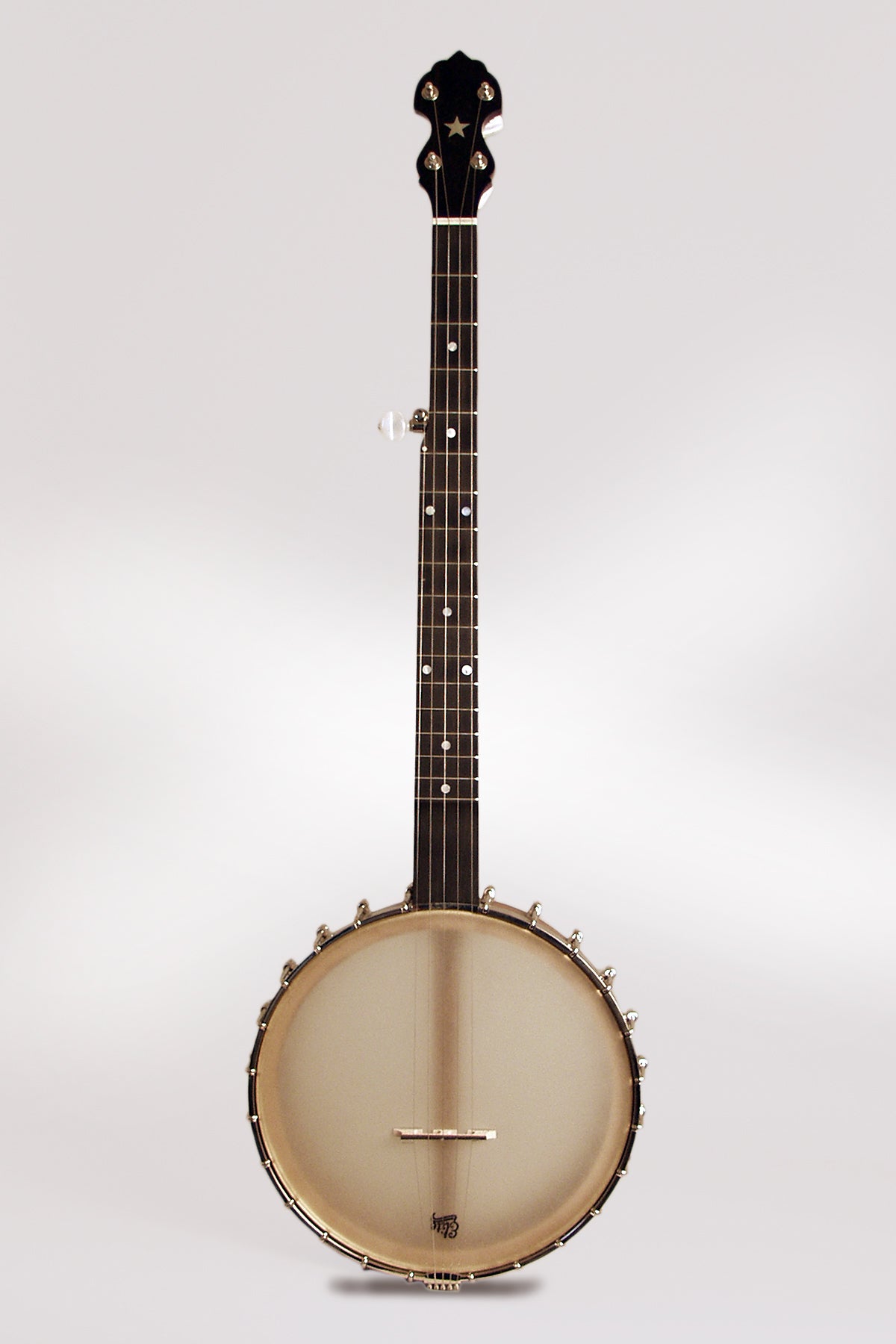 Bart Reiter Standard 5 String Banjo (2012)
