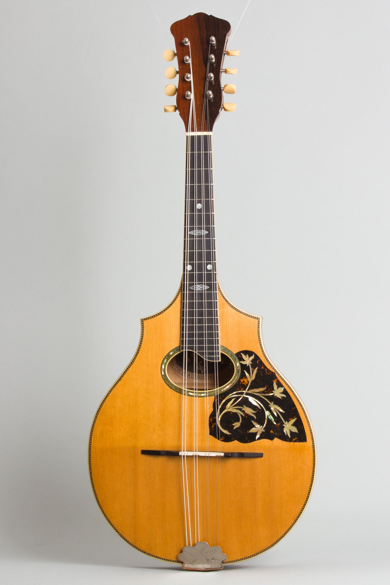 Vega Cylinder Back Model 205 Mandolin (1917)