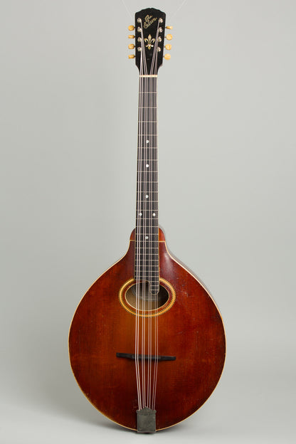 Gibson K-2 Carved Top Mandocello (1914)