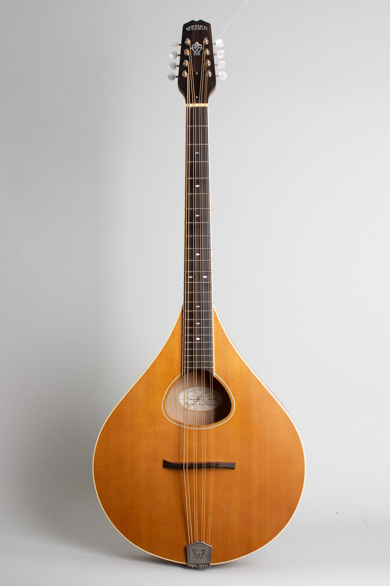 Weber Tamarack Flat Top Mandocello (2011)