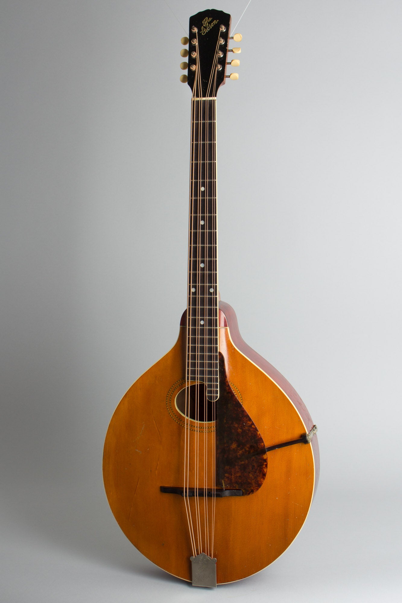 Gibson K-1 Carved Top Mandocello (1914)