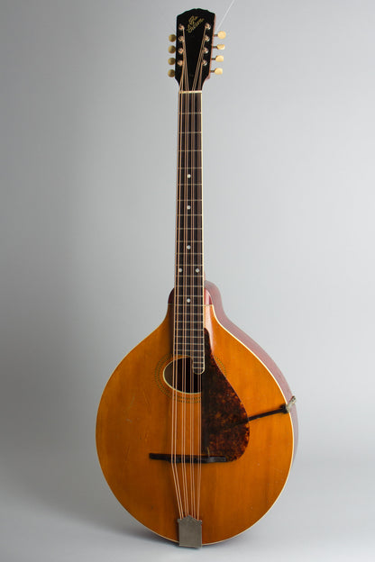 Gibson K-1 Carved Top Mandocello (1914)