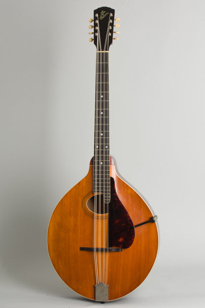 Gibson K-1 Carved Top Mandocello (1914)